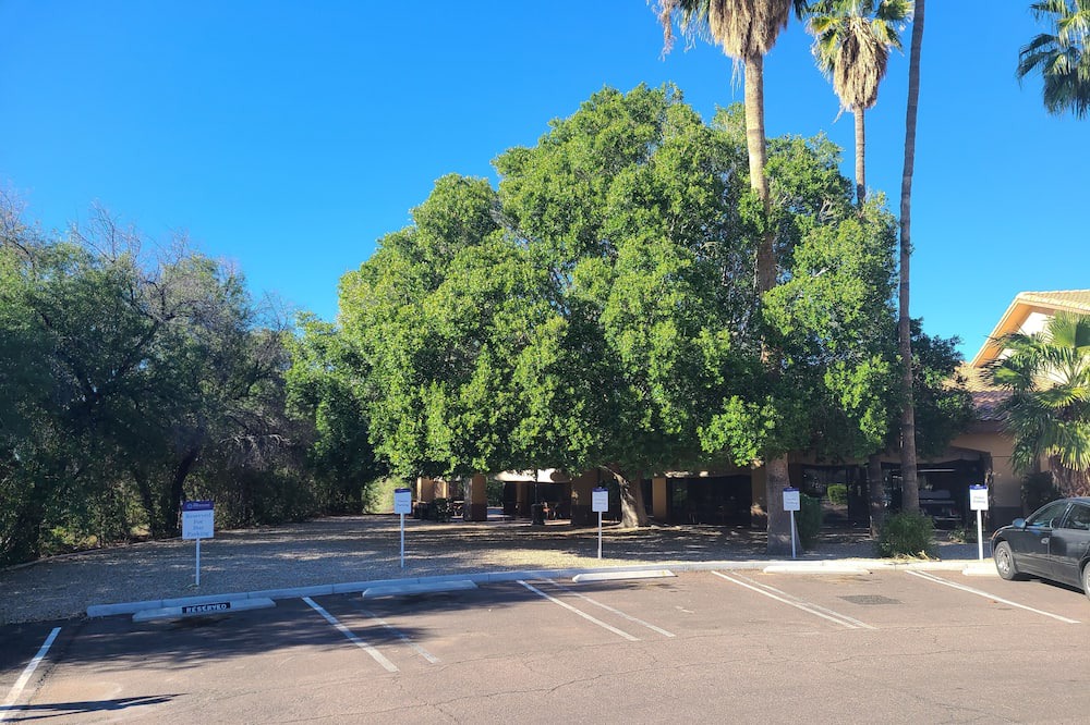 Photo of Outdoor in Parkridge