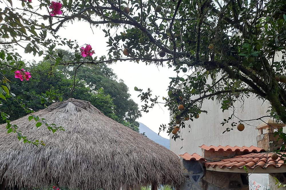 Photo of Others in Xilitla