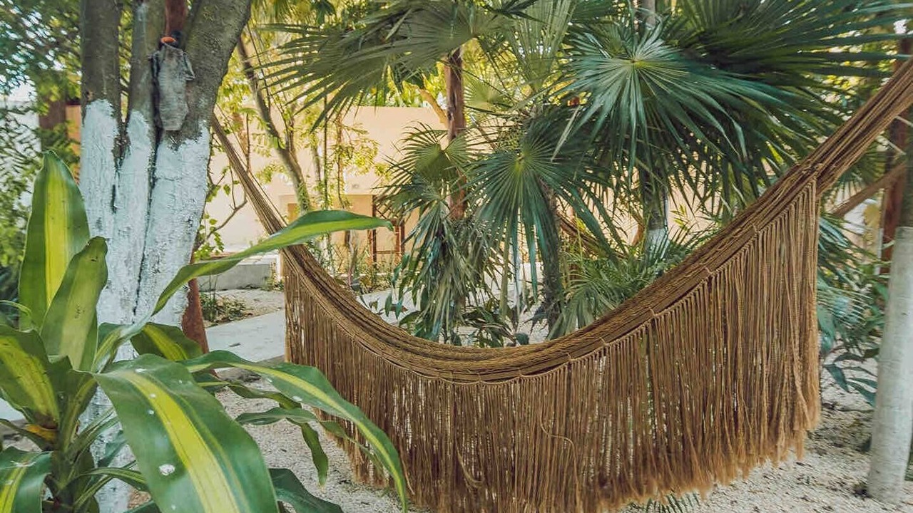 Photo of Outdoor in Tulum City Center