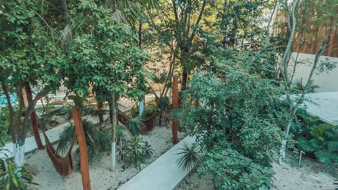 Photo of Outdoor in Tulum City Center