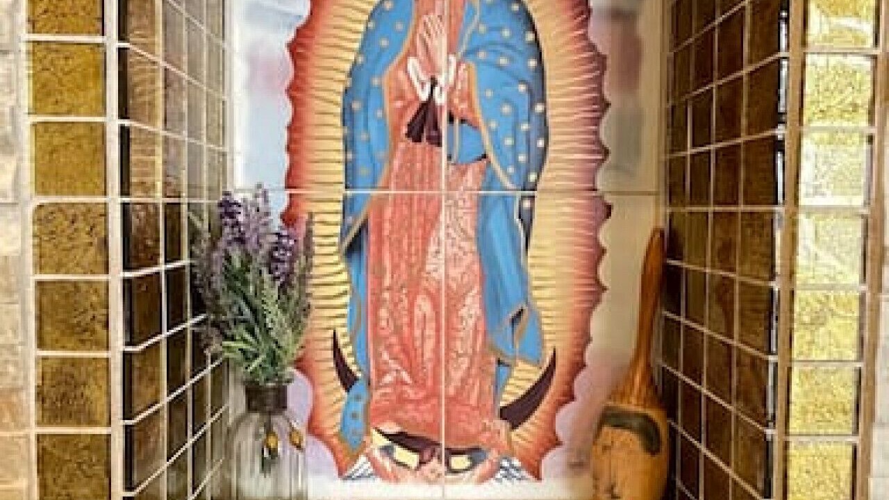 Photo of Others in Costa de Oro