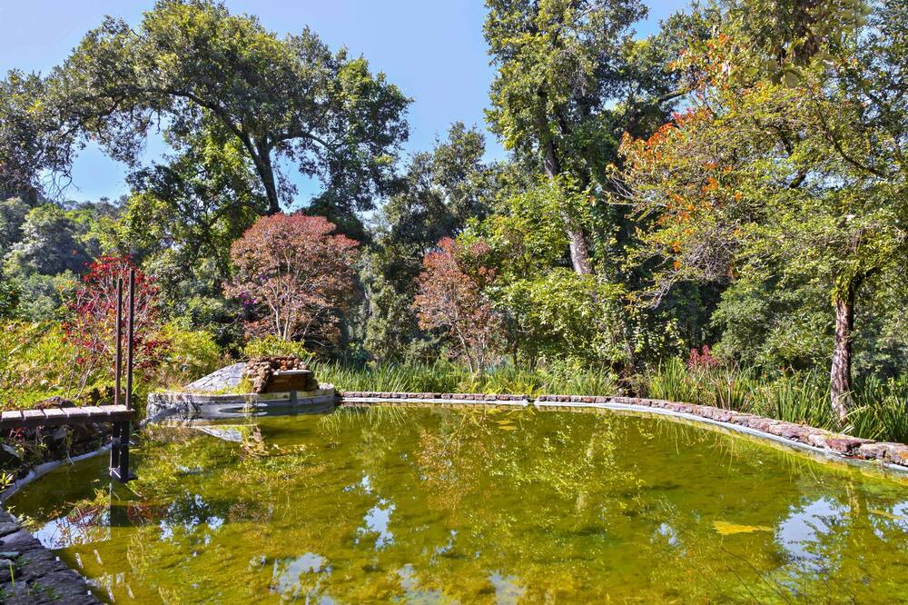 Photo of Outdoor in Valle de Bravo
