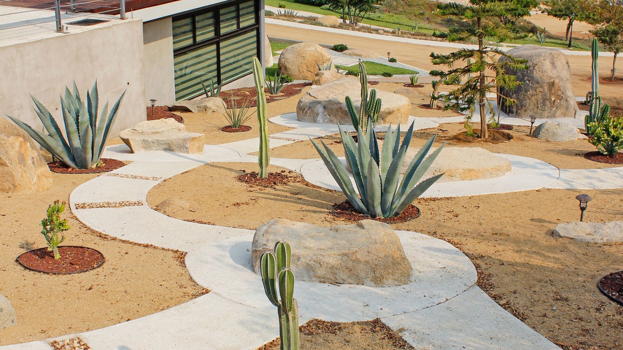Photo of Outdoor in San Antonio de las Minas