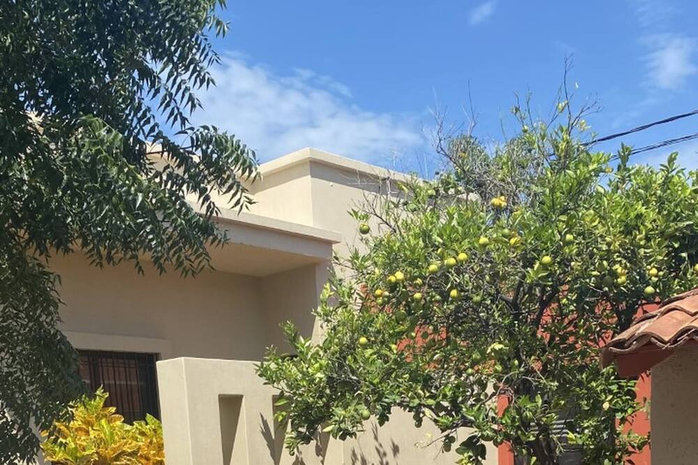 Photo of Outdoor in San Antonio Tlayacapan