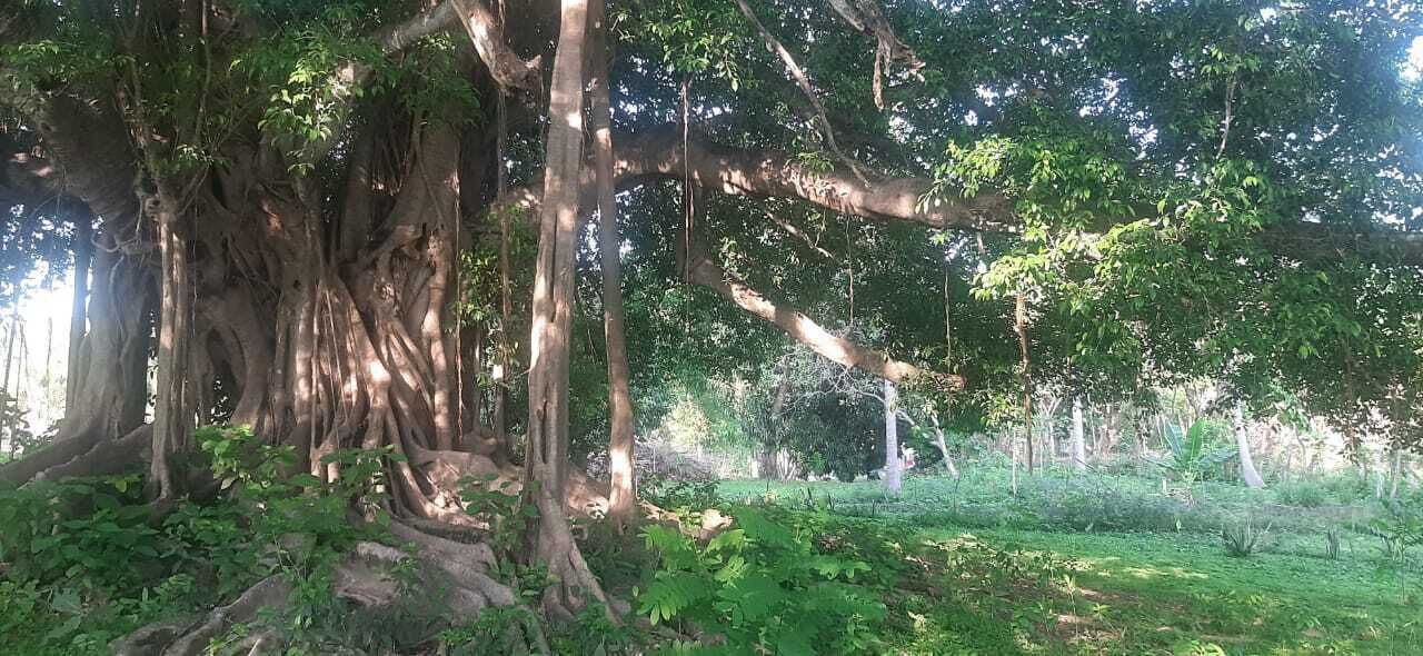 Photo of Outdoor in Huautlco