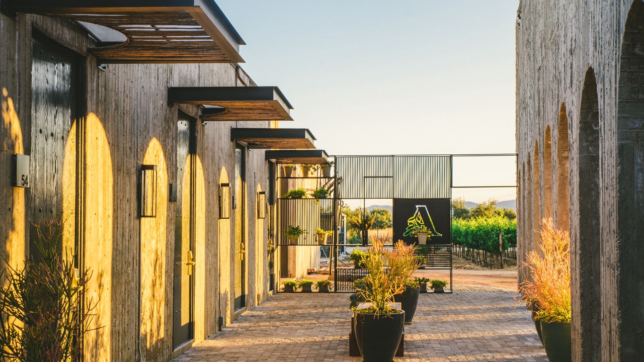 Photo of Others in Valle de Guadalupe