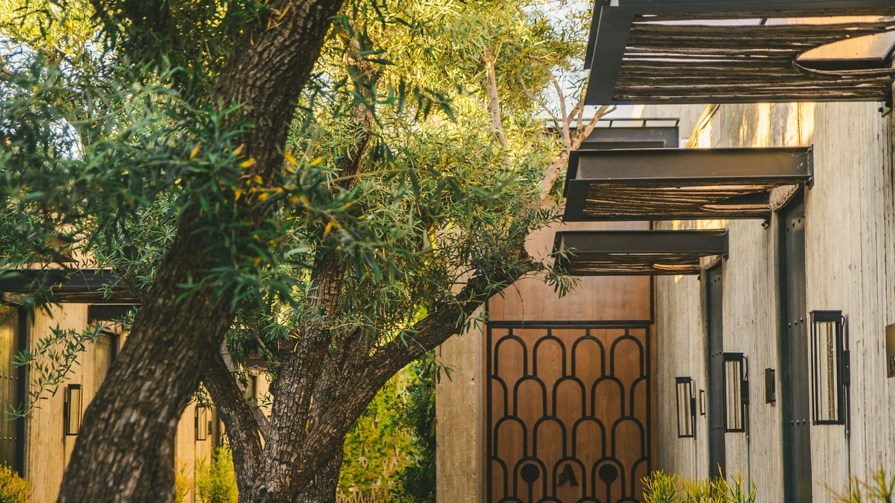 Photo of Others in Valle de Guadalupe