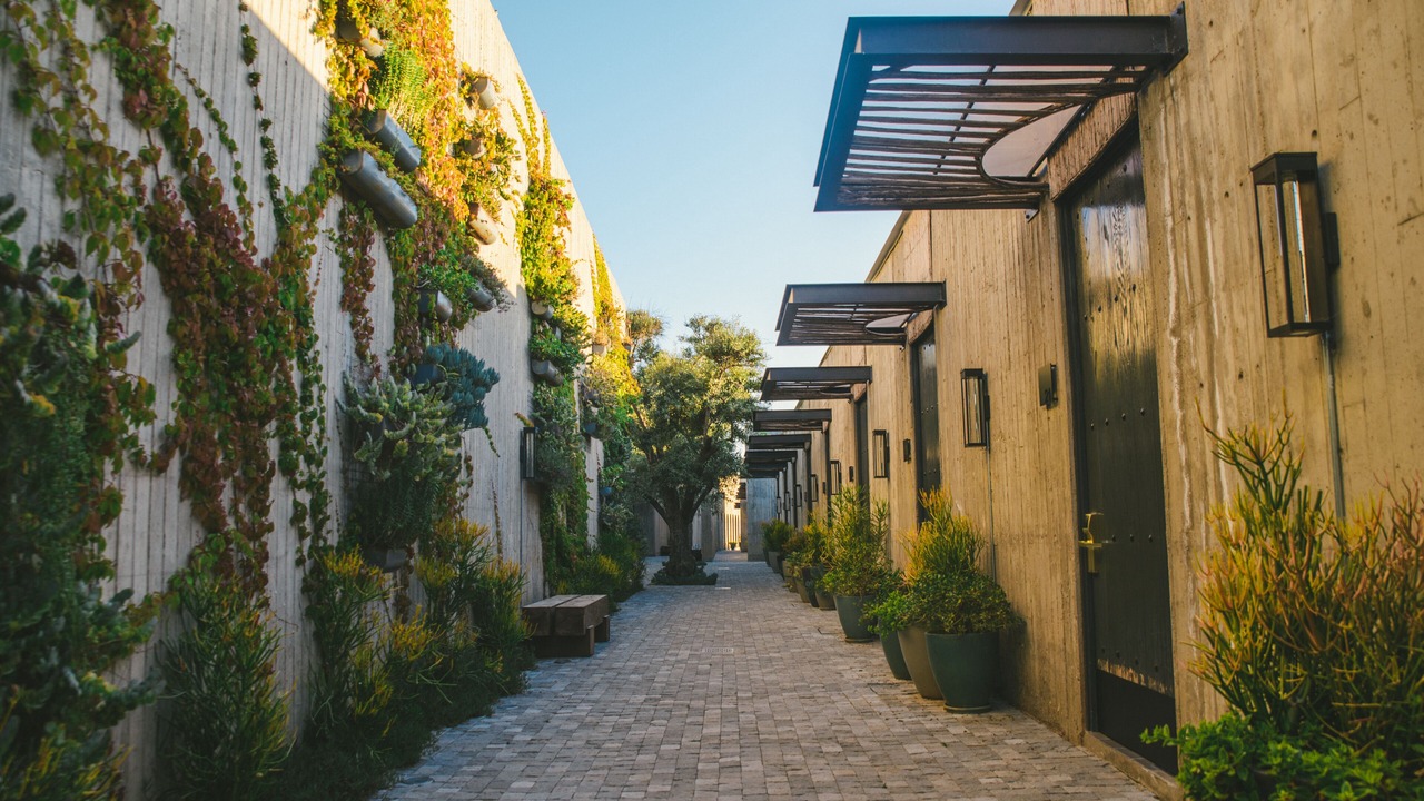 Photo of Others in Valle de Guadalupe