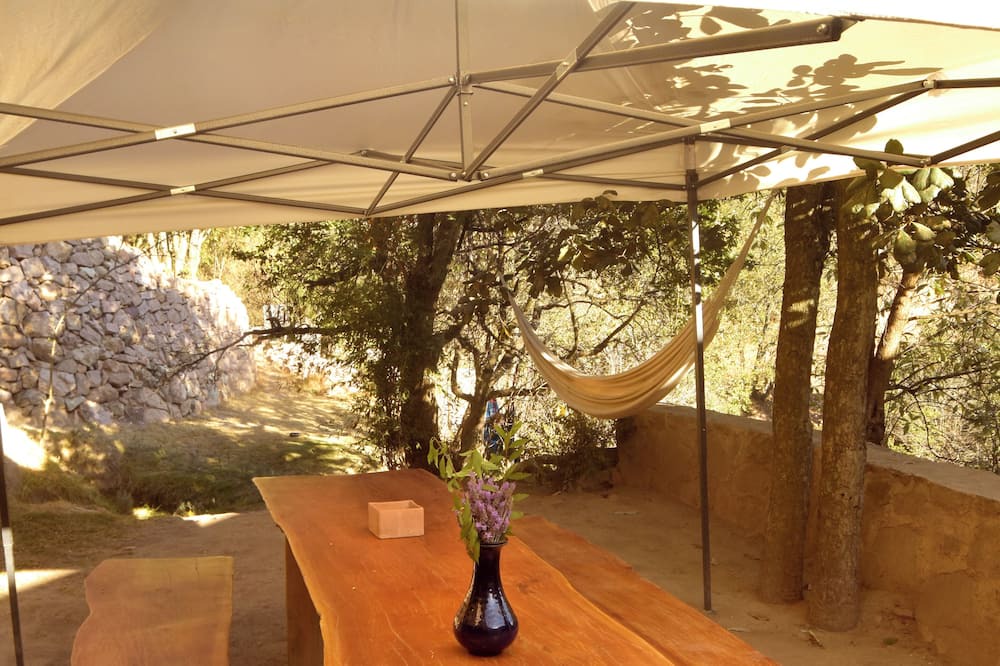 Photo of Outdoor in Santa Rosa