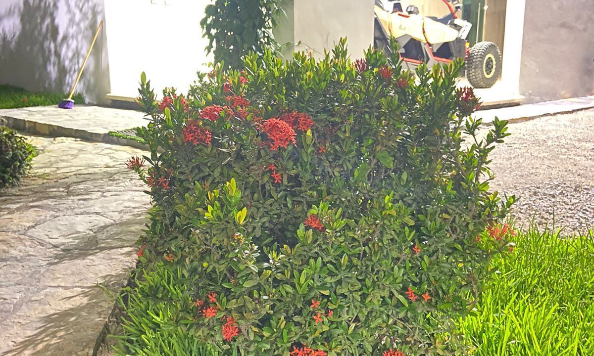 Photo of Outdoor in Ciudad Valles