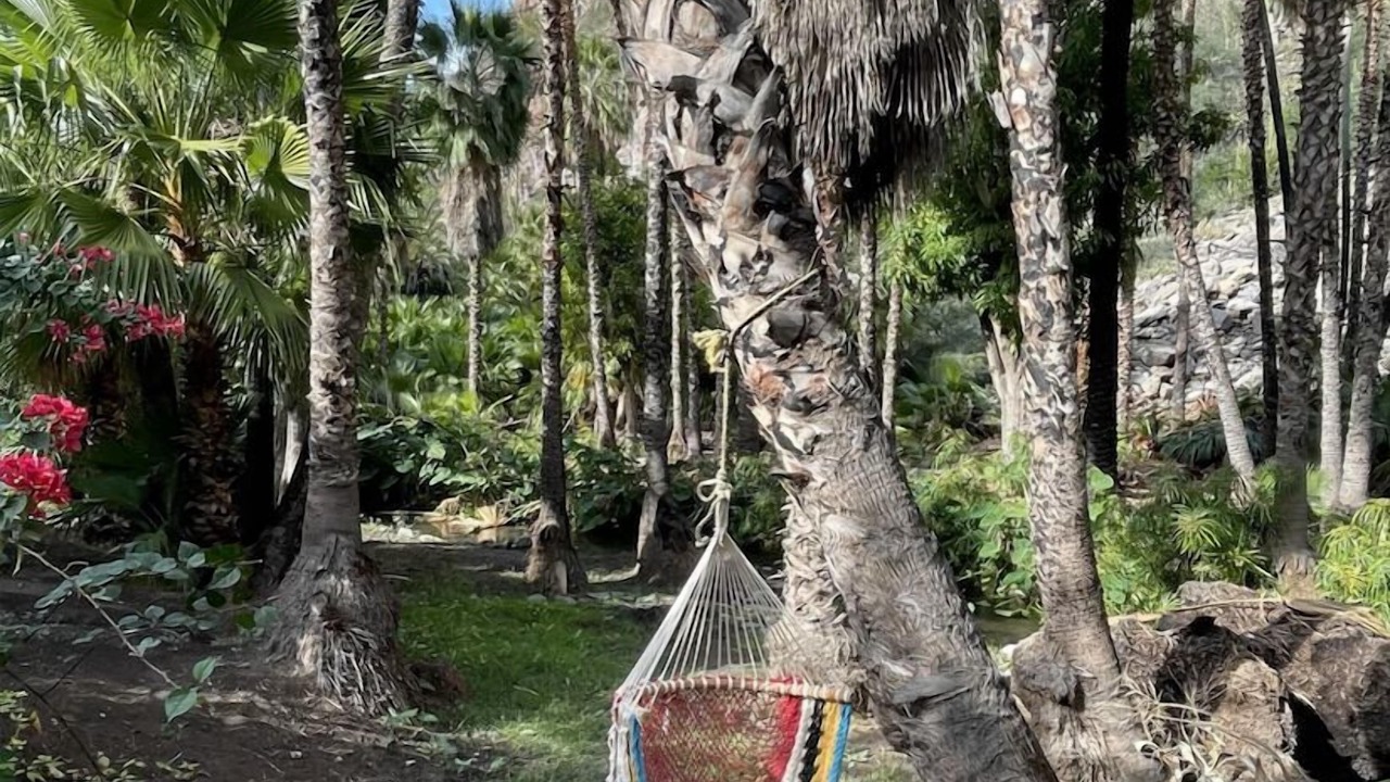 Photo of Patio Balcony in Baja California Sur