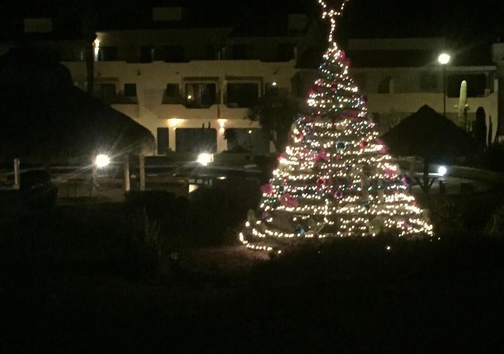 Photo of Outdoor in San Carlos