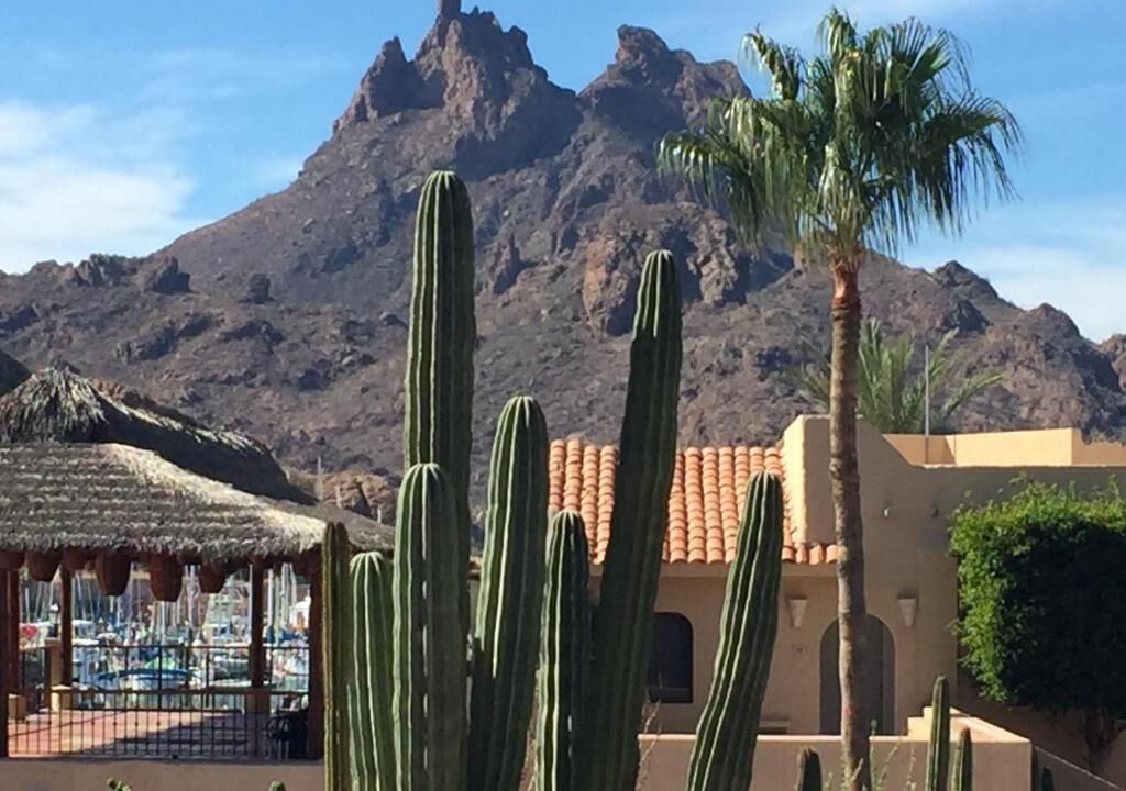 Photo of Outdoor in San Carlos