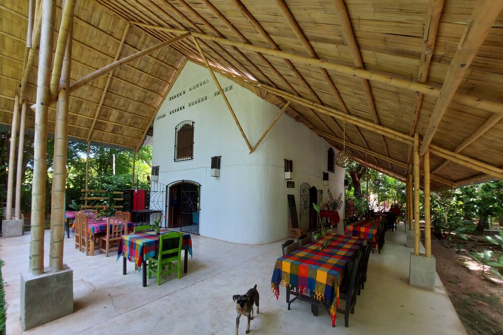 Photo of Others in Palenque