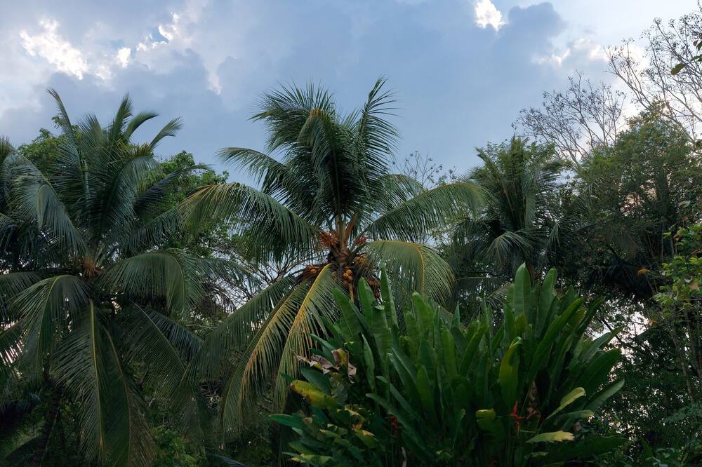 Photo of Outdoor in Palenque