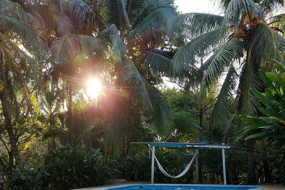 Photo of Outdoor in Palenque