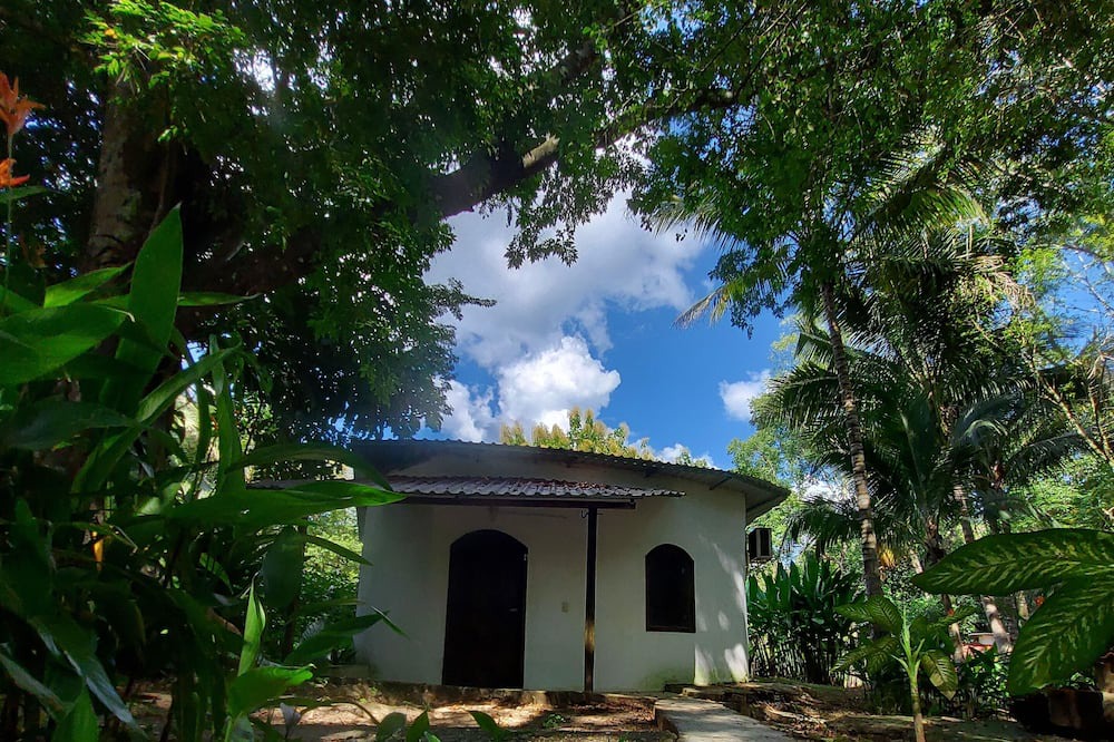 Photo of Outdoor in Palenque