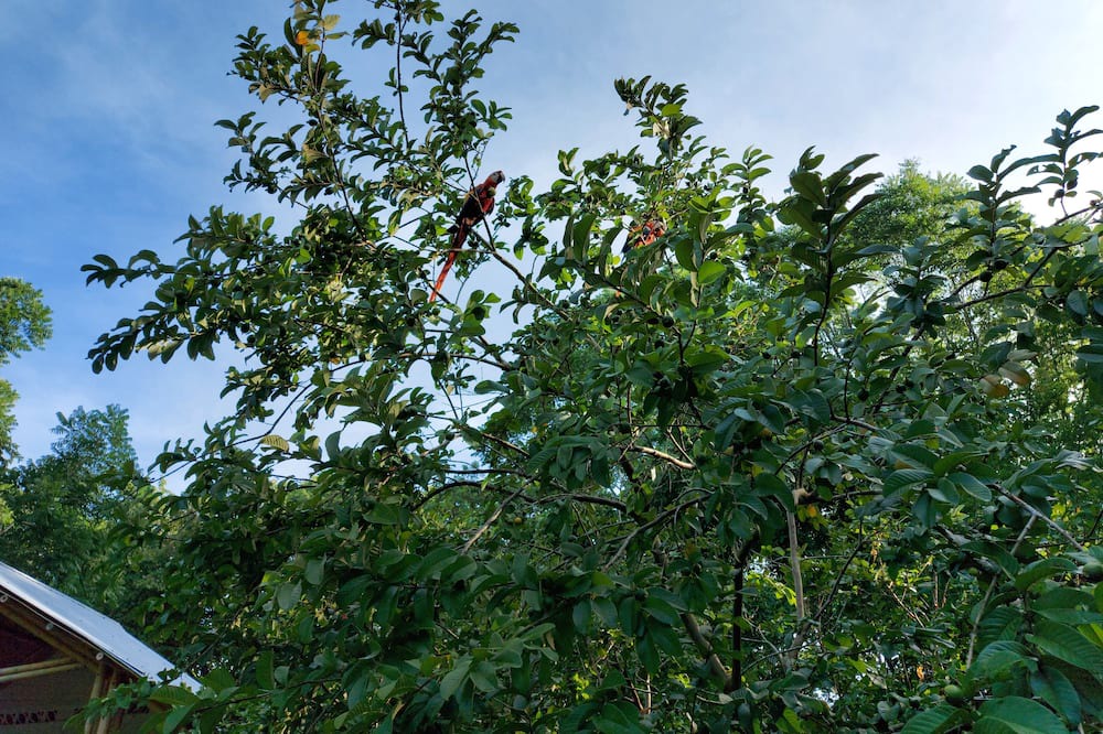 Photo of Outdoor in Palenque