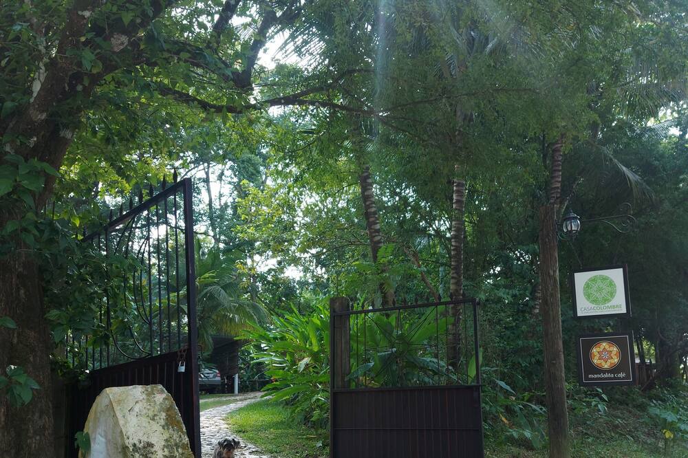 Photo of Outdoor in Palenque