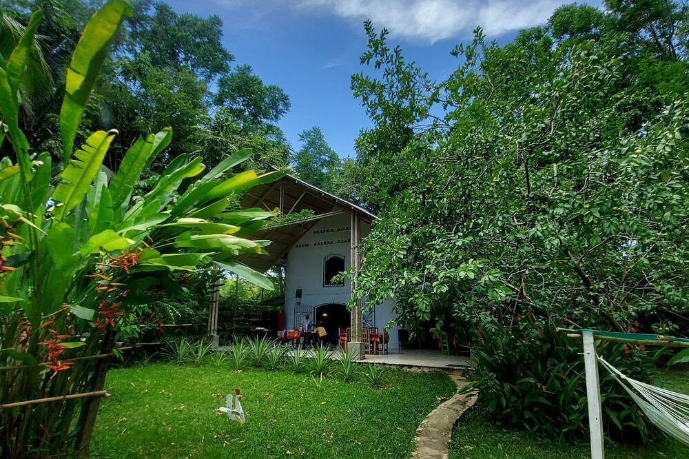 Photo of Outdoor in Palenque