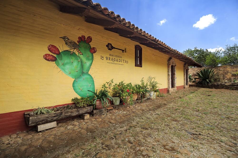 Photo of Outdoor in Mazamitla