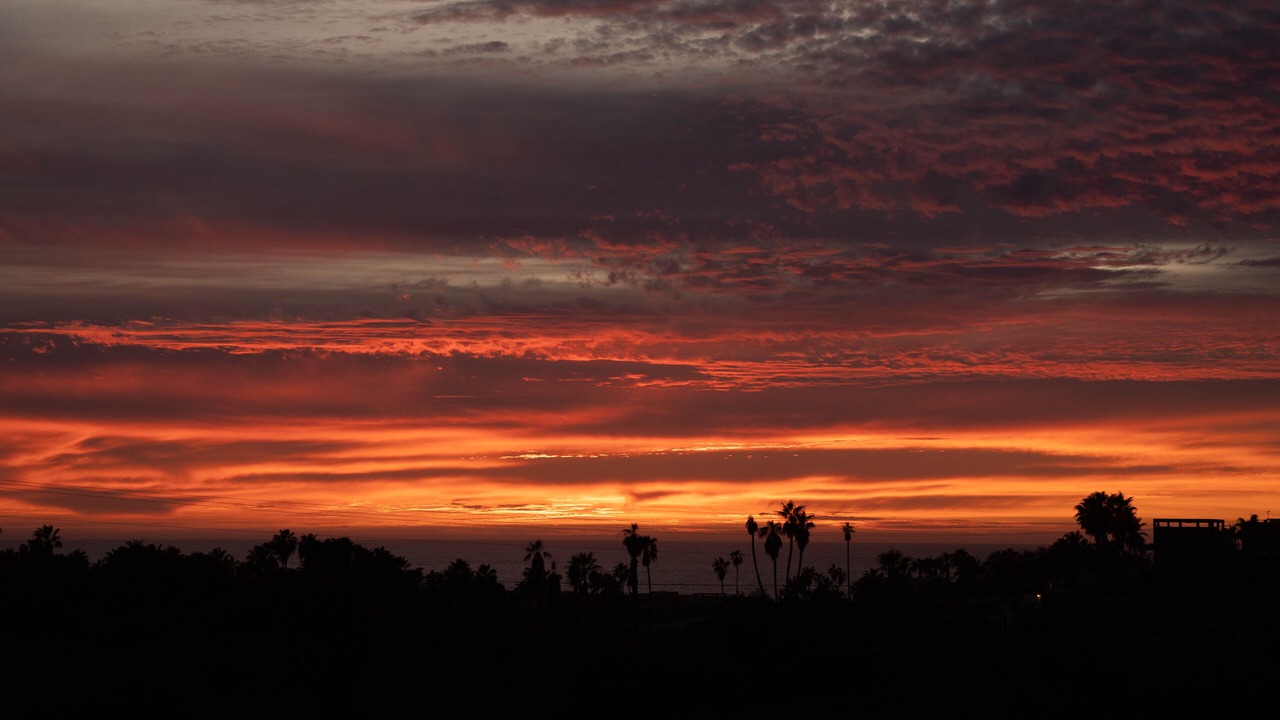 Photo of Others in Todos Santos