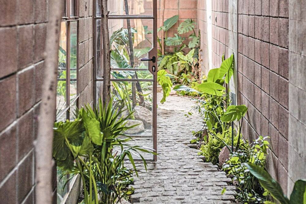 Photo of Outdoor in Francisco Villa