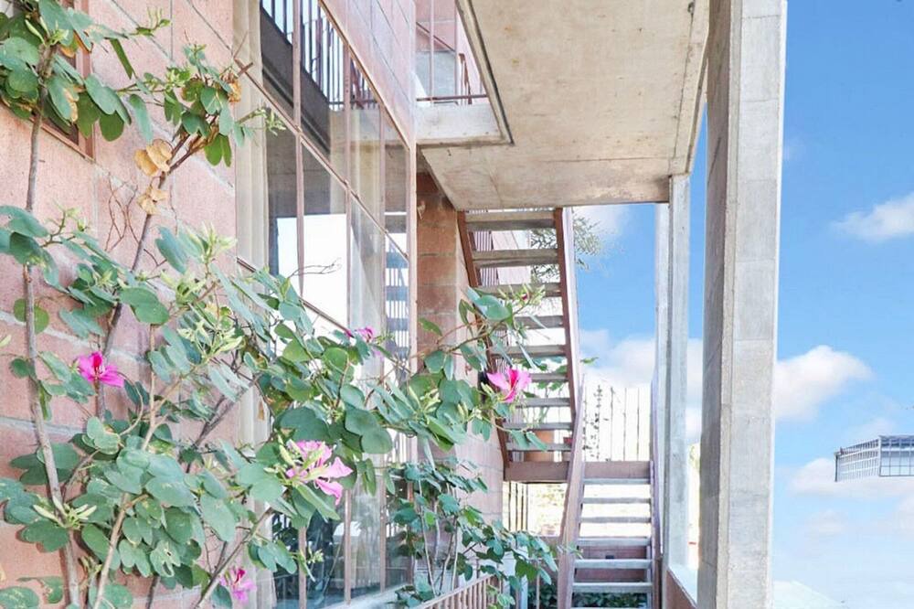 Photo of Outdoor in Francisco Villa