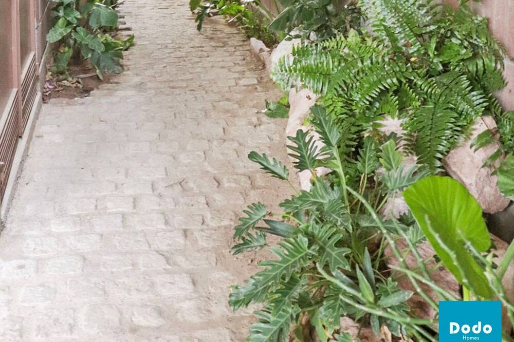 Photo of Outdoor in Francisco Villa