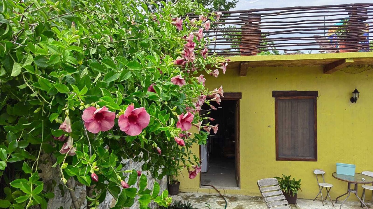 Photo of Outdoor in Mazunte