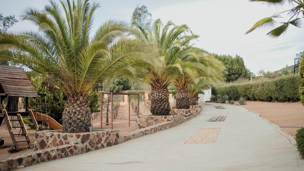 Photo of Outdoor in San Antonio de las Minas