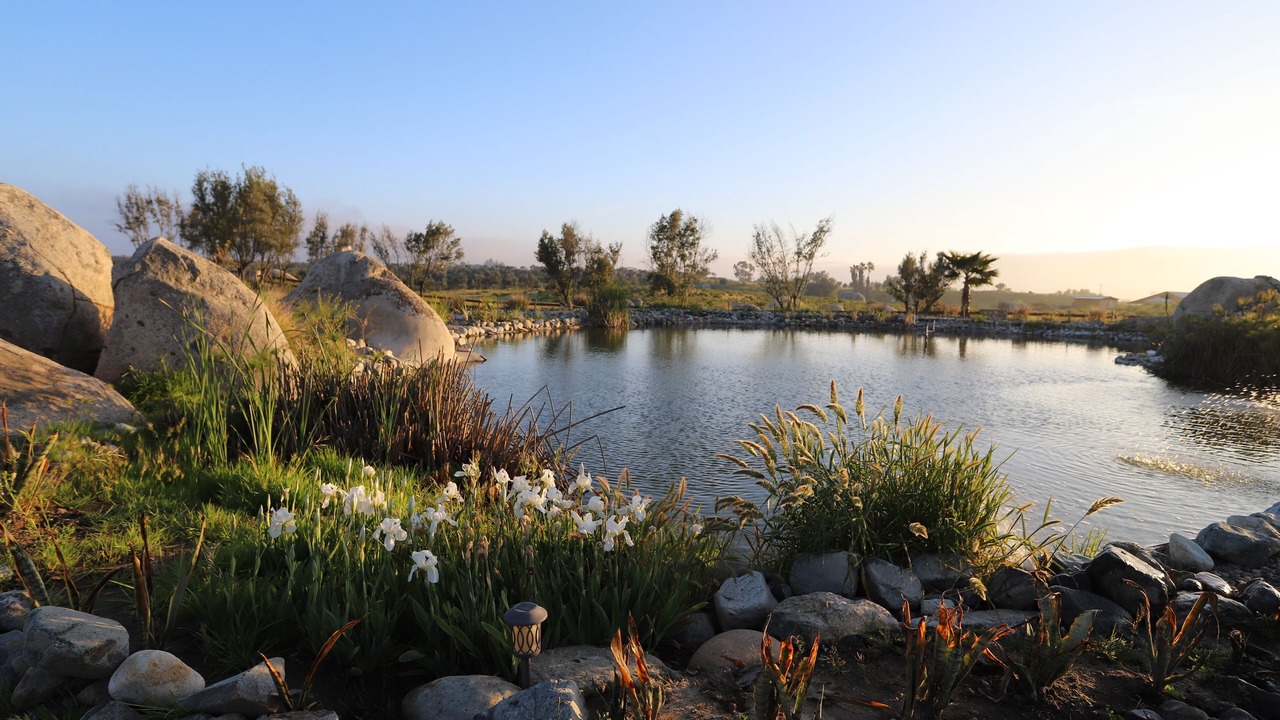 Photo of Outdoor in Valle de Guadalupe