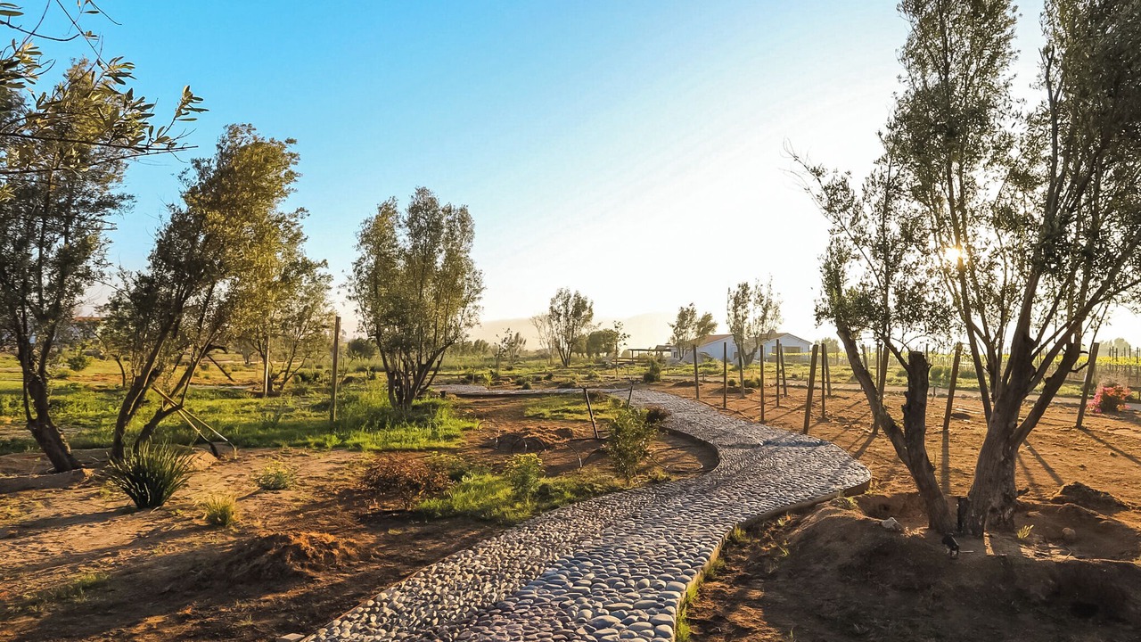 Photo of Outdoor in Valle de Guadalupe