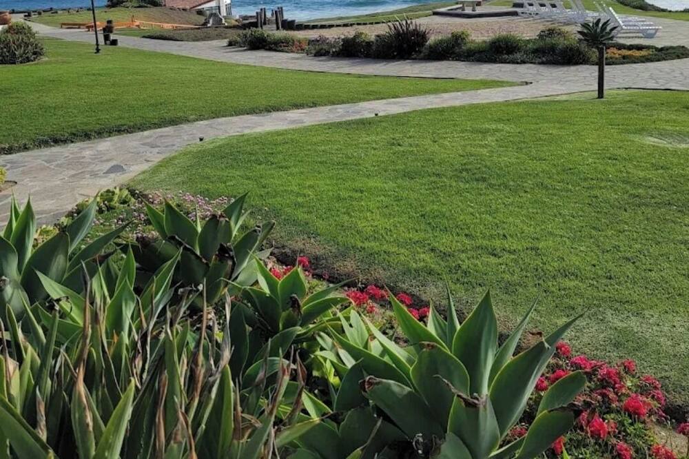 Photo of Others in Rosarito