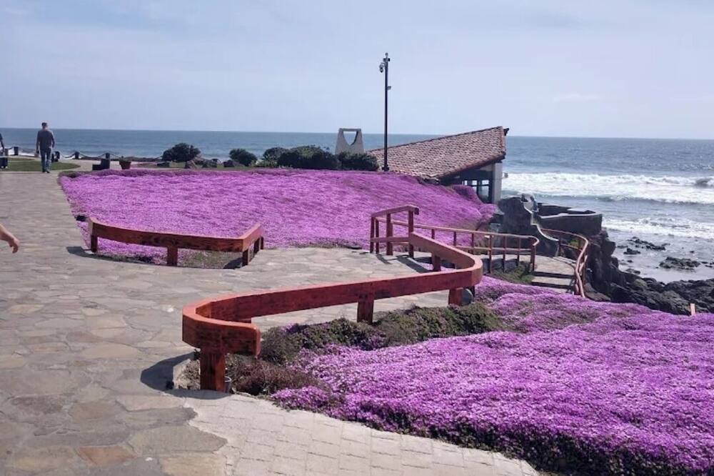 Photo of Outdoor in Rosarito