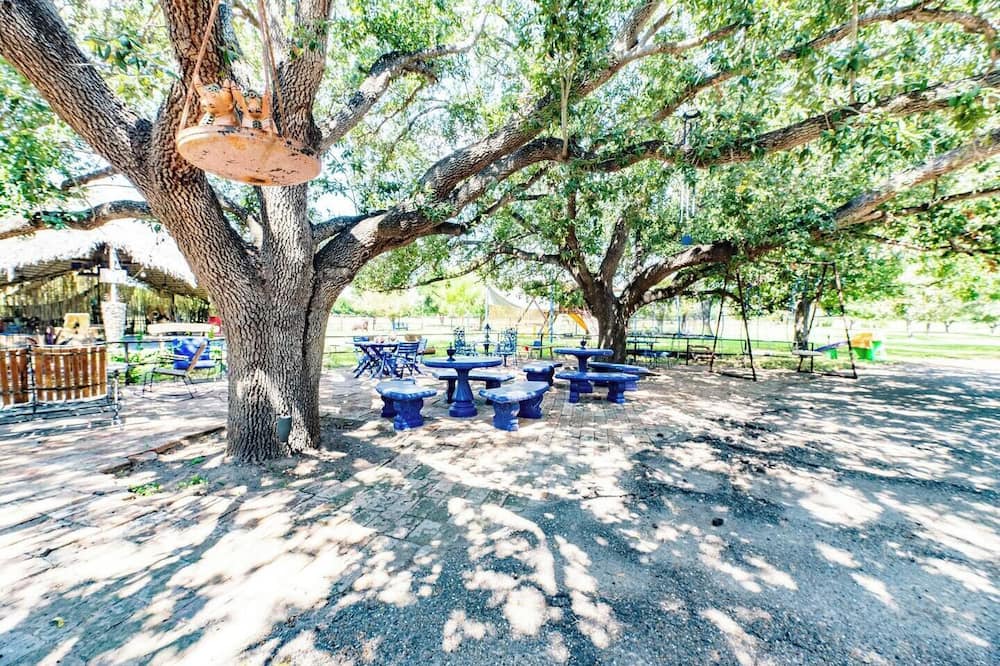 Photo of Outdoor in Mission