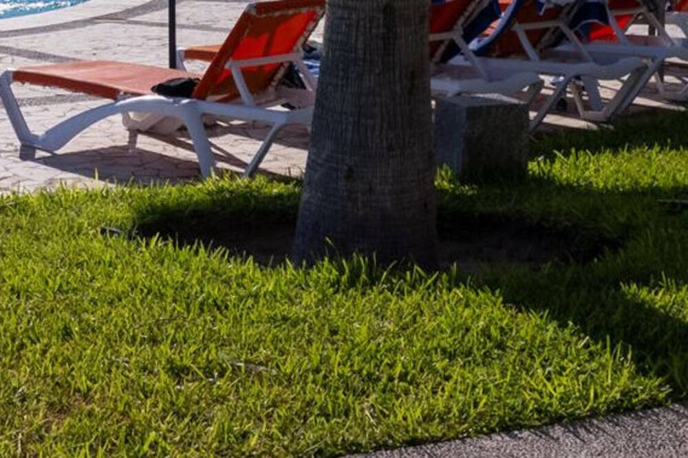 Photo of Outdoor in San Carlos
