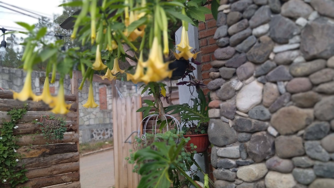 Photo of Outdoor in Huasca De Ocampo