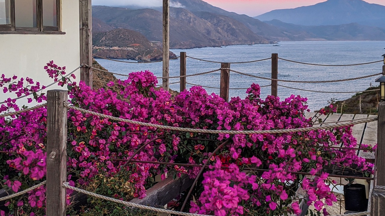 Photo of Outdoor in Ensenada