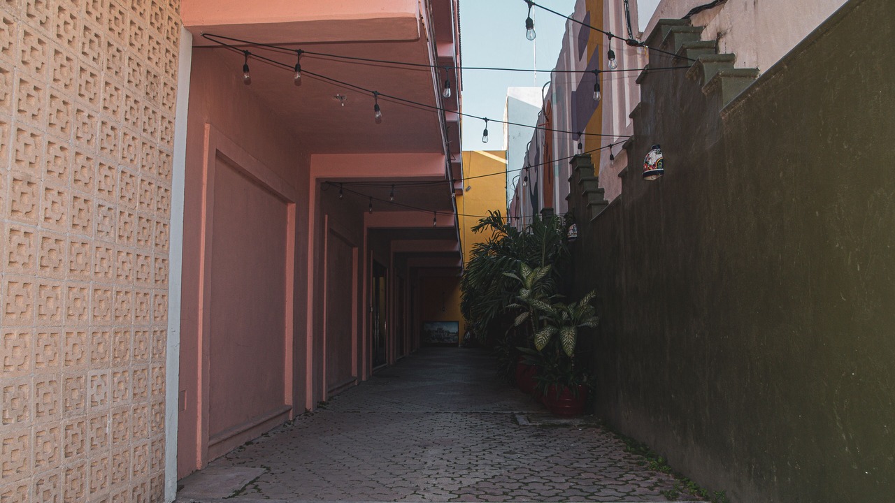 Photo of Outdoor in Tulum City Center