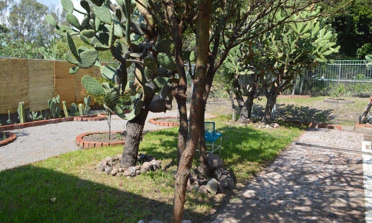 Photo of Outdoor in Juriquilla