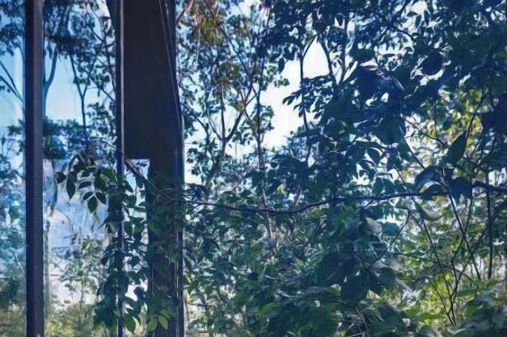 Photo of Outdoor in Puerto Morelos