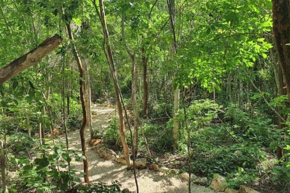 Photo of Outdoor in Puerto Morelos