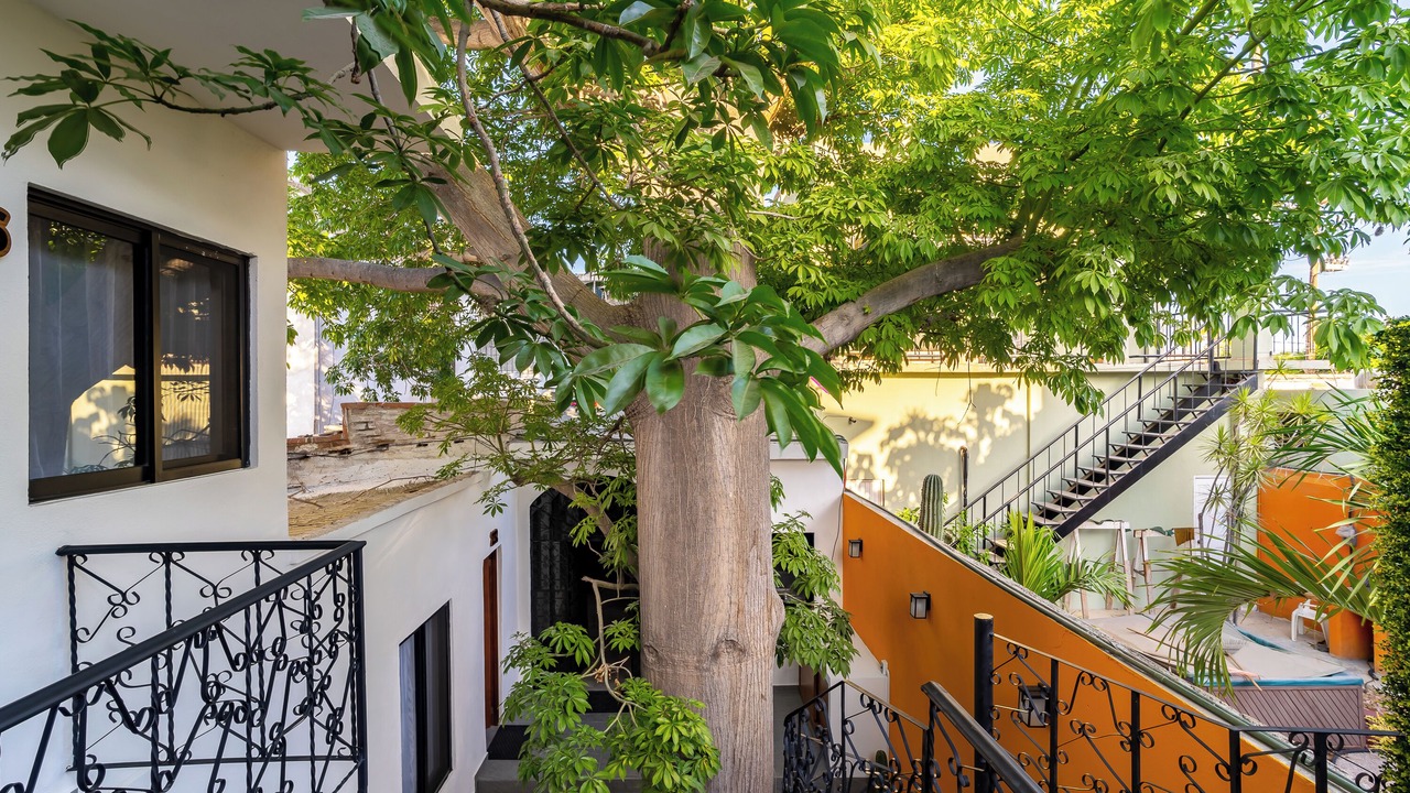 Photo of Patio Balcony in Esterito