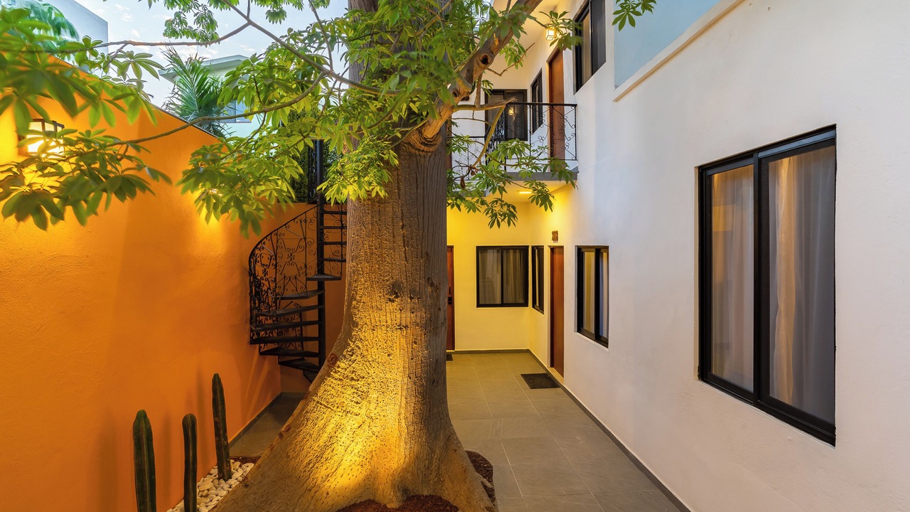 Photo of Patio Balcony in Esterito