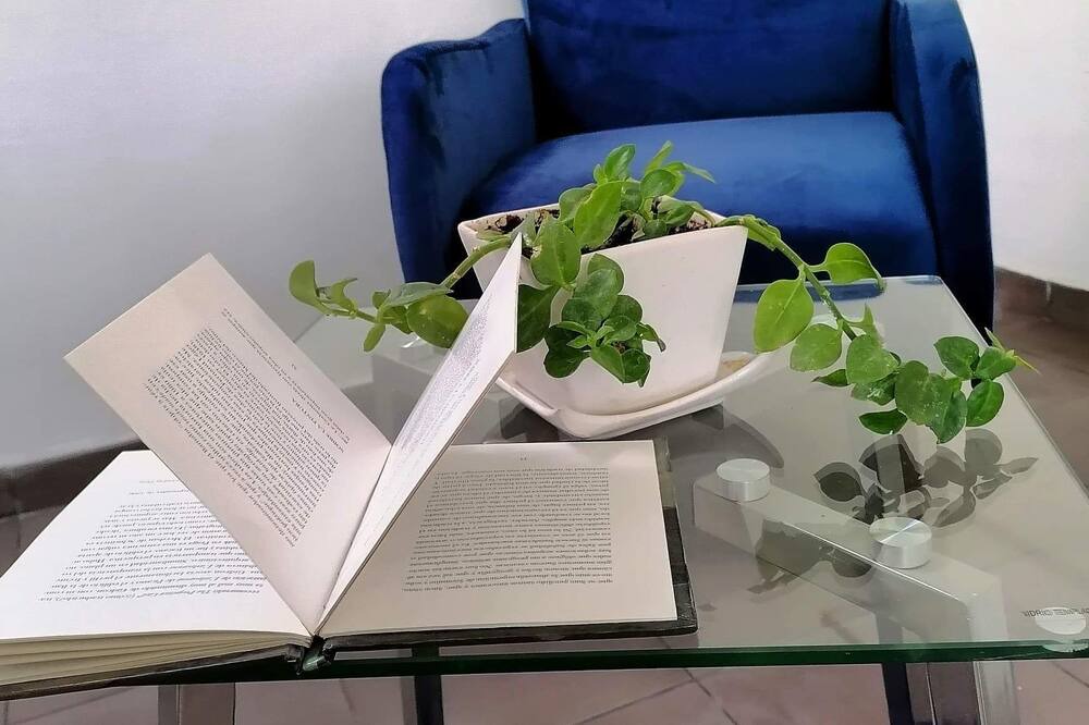 Photo of Livingroom in Guadalajara