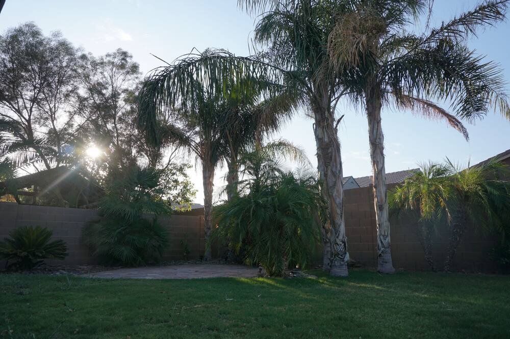 Photo of Outdoor in Yuma