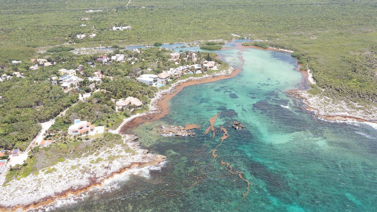 Photo of Outdoor in Akumal