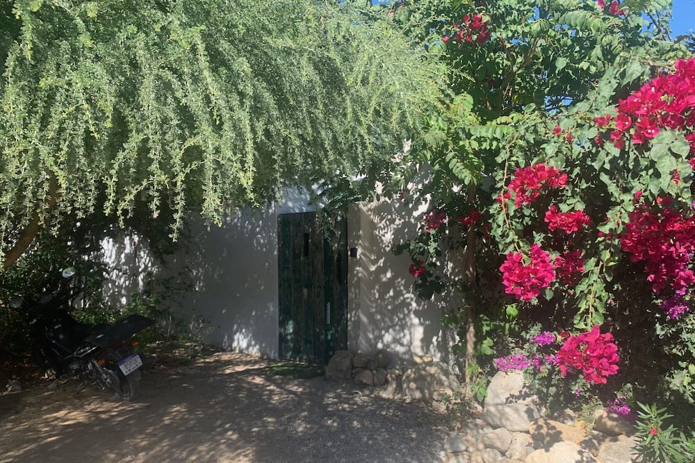 Photo of Outdoor in San Jose del Cabo