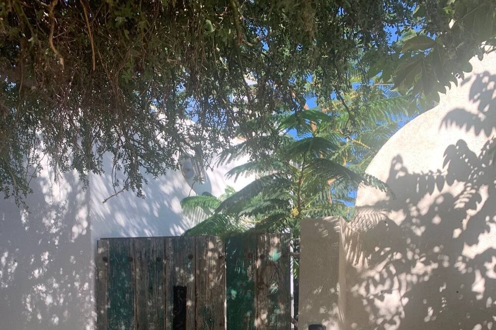 Photo of Outdoor in San Jose del Cabo